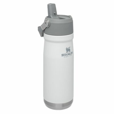 Botella Térmica Stanley Flip 650 ml Polar