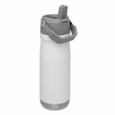 Botella Térmica Stanley Flip 650 ml Polar