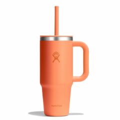 Travel Tumbler Hydro Flask 24 Oz/ 710ml