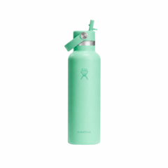 Botella Térmica Hydro Flask 620 ml con Tapa Flex Straw